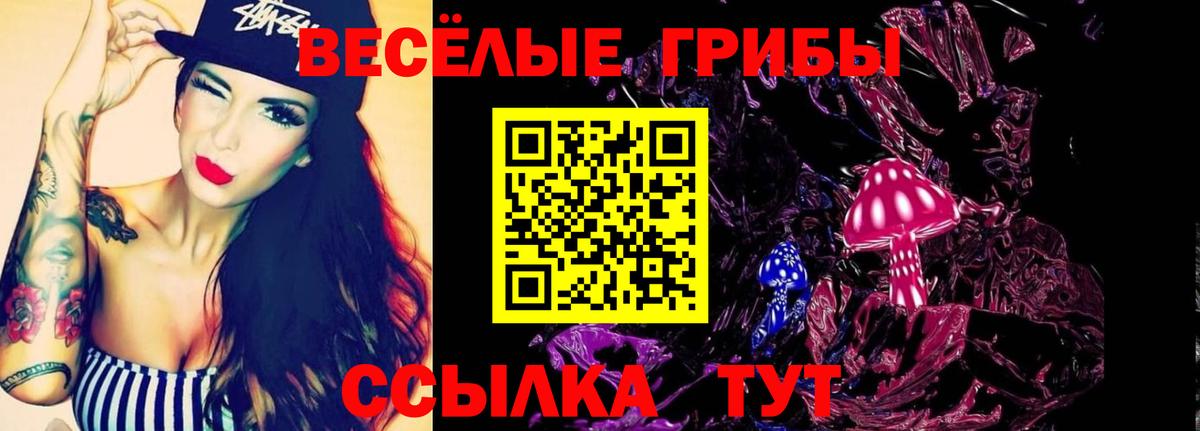 Галлюциногенные грибы мухоморы Лесосибирск